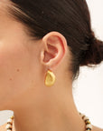 Rosy earrings